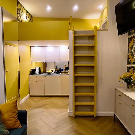 Boogie Papillon 15 *