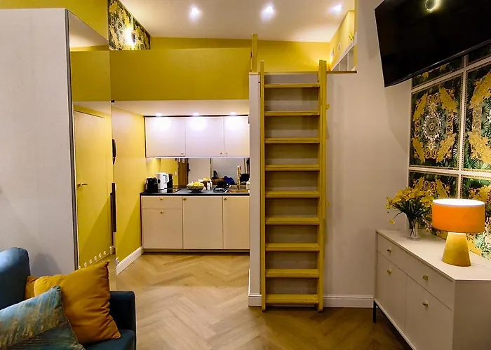 Boogie Papillon 15 *